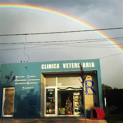Clínica Veterinaria 'El Relincho'