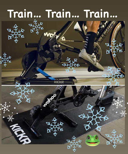 Bicycle Store «Fat Frogs Bike & Fitness», reviews and photos, 1169 Nimmo Pkwy #232, Virginia Beach, VA 23456, USA