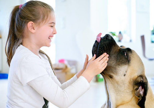 Tierarzt-Praxis Dr. med. vet. Astrid Dahl Haan unter Haan, Nordrhein-Westfalen