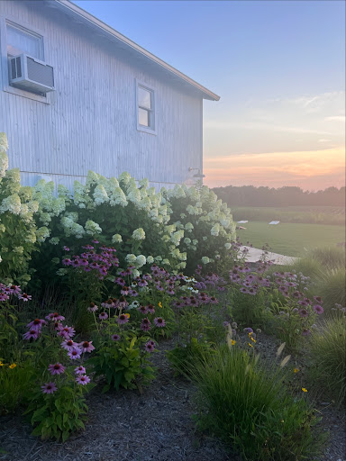 Wedding Venue «Hidden Vineyard Wedding Barn», reviews and photos, 6337 Snyder Rd, Berrien Springs, MI 49103, USA