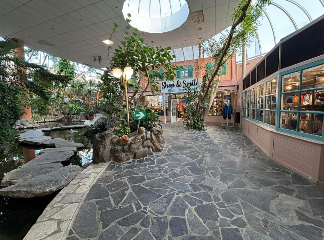 Photo n° 14 de l'avis de Alain.a fait le 20/05/2019 à 03:44