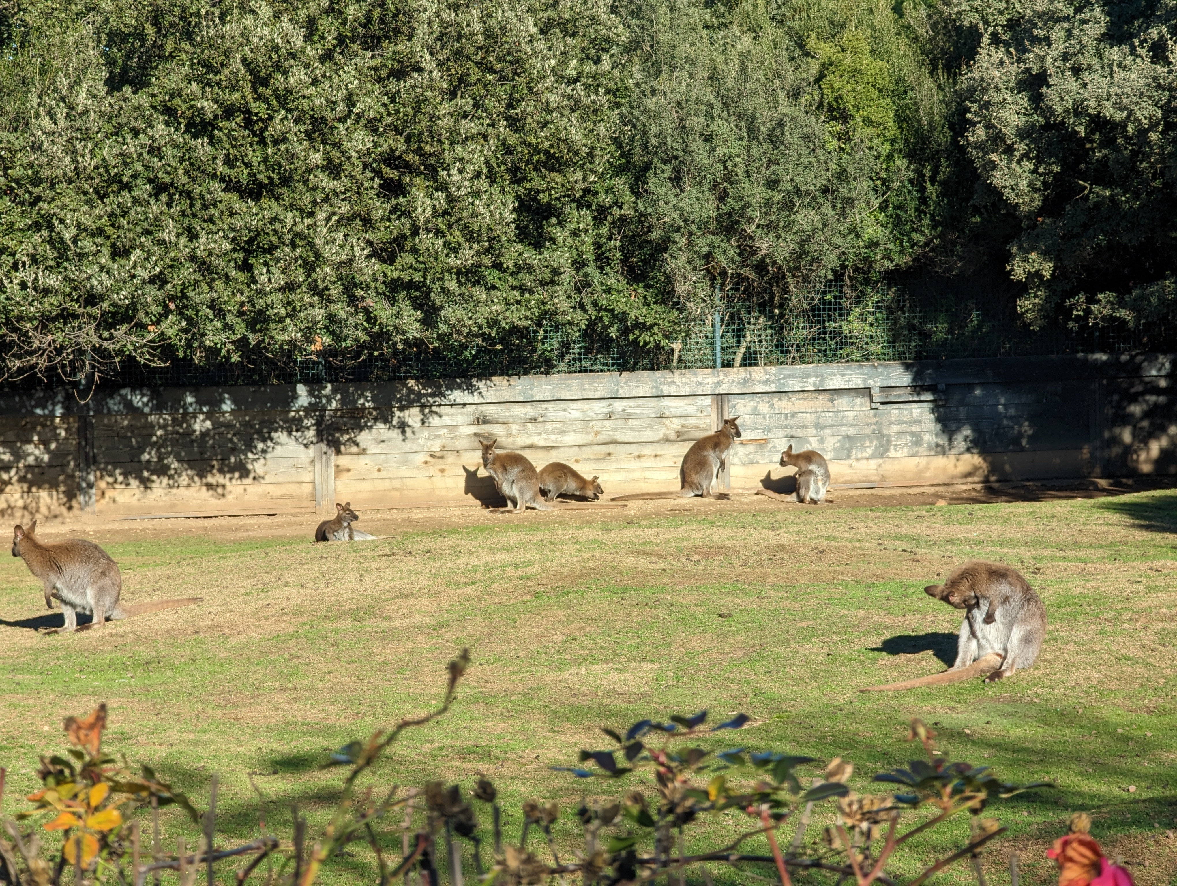 Photo n° 20 de l'avis de nidhin.h fait le 27/12/2022 à 18:11