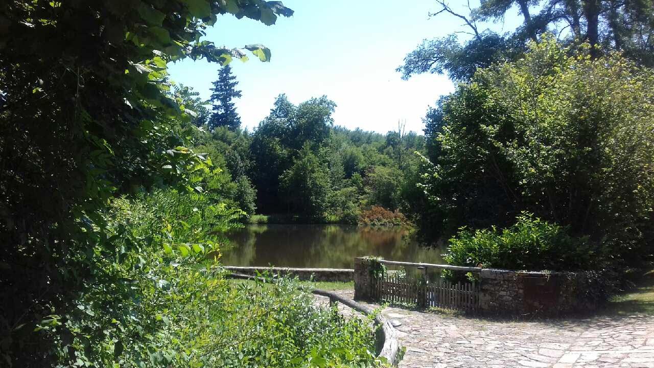 Photo n° 2 de l'avis de christophe.h fait le 06/07/2018 à 10:32