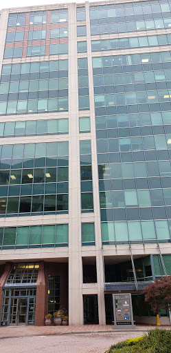 Gift Shop «Edible Arrangements», reviews and photos, 95 Barnes Rd, Wallingford, CT 06492, USA