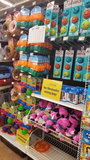 Craft Store «A.C. Moore Arts and Crafts», reviews and photos, 4219 Union Deposit Rd, Harrisburg, PA 17111, USA