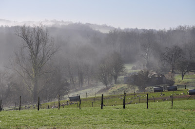 EARL Domaine de Barbe à Badefols-sur-Dordogne
