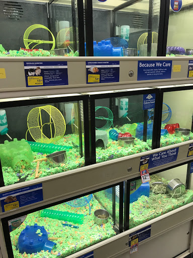 Pet Supply Store «PetSmart», reviews and photos, 13764 W Bell Rd, Surprise, AZ 85374, USA