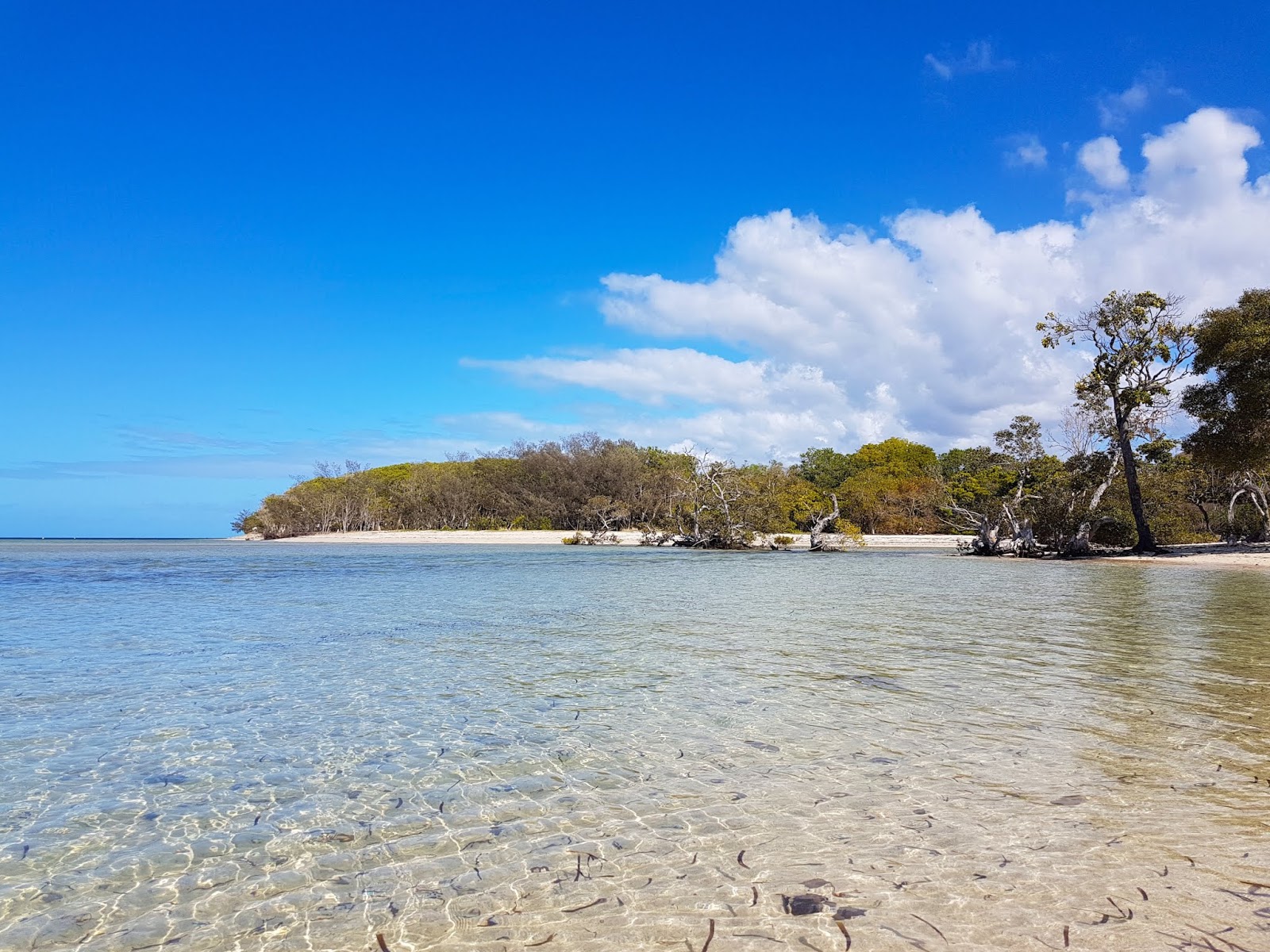 Photo de Banc de sable avec un niveau de propreté de très propre