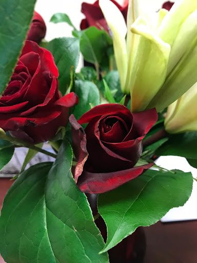 Florist «The Garden Path Gifts and Flowers», reviews and photos, 3810 Walnut St, Harrisburg, PA 17109, USA