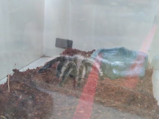 Pet Supply Store «Pet Supplies Plus», reviews and photos, 101 Sutton Ave, Oxford, MA 01540, USA