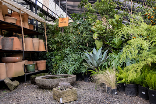 Aldaba Jardines - Tienda de Plantas y Paisajismo