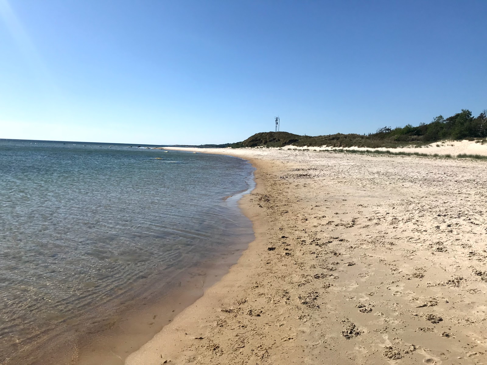 Somarken Bornholm'in fotoğrafı vahşi alan