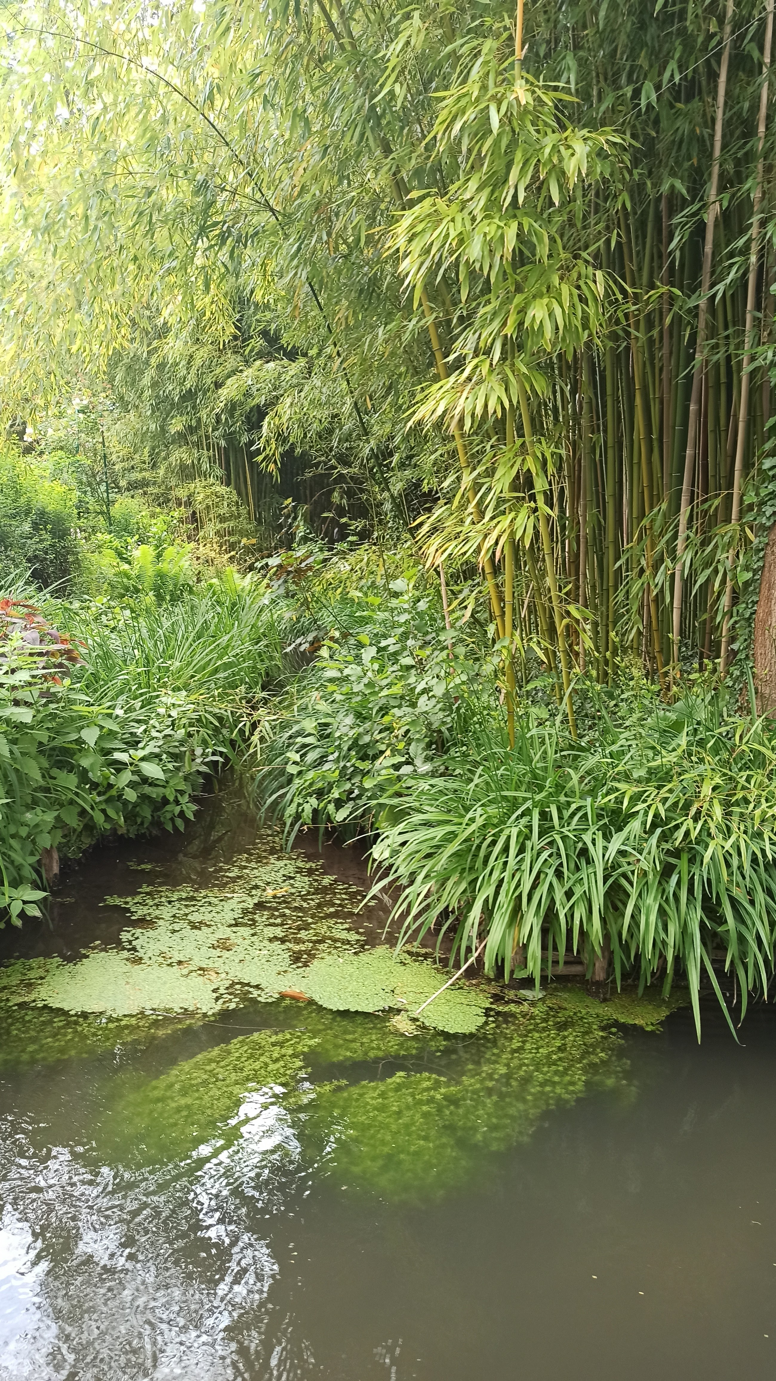 Photo n° 5 de l'avis de Marie.n fait le 30/05/2022 à 13:17