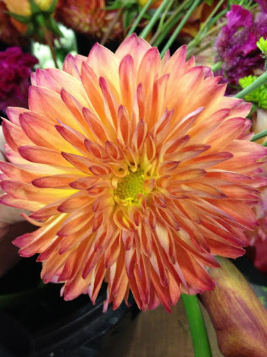 Florist «Petals of Love», reviews and photos, 5350 W 130th St, Brook Park, OH 44142, USA