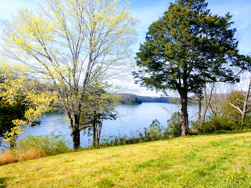 Marina «Mitchell Creek Marina», reviews and photos, 1260 Livingston Boat Dock Rd, Allons, TN 38541, USA