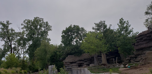 Zoo «Arctic Ring of Life», reviews and photos, 8450 W 10 Mile Rd, Royal Oak, MI 48067, USA