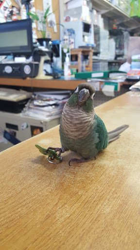 Pet Store «Critter Hut Aquarium & Pets», reviews and photos, 6637 Post Rd, North Kingstown, RI 02852, USA