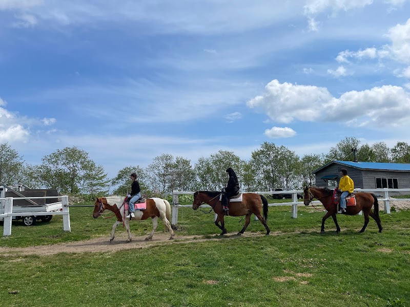 北日本乗馬サービスバンダナ