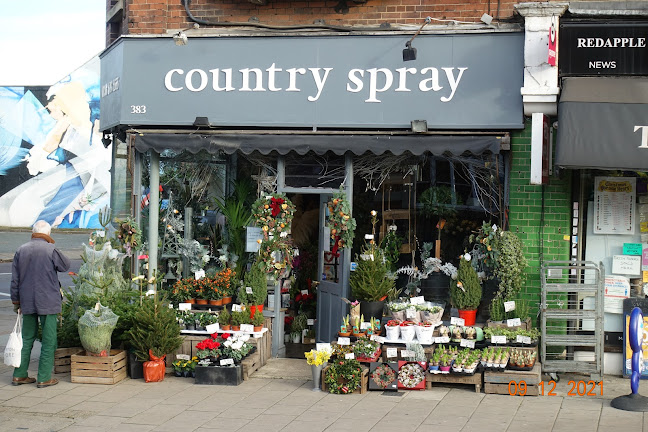 Reviews of Country Spray in London - Florist