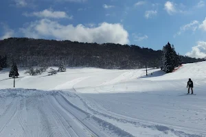 Uenono Ski Area image