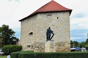 Statue of Baba Novac image