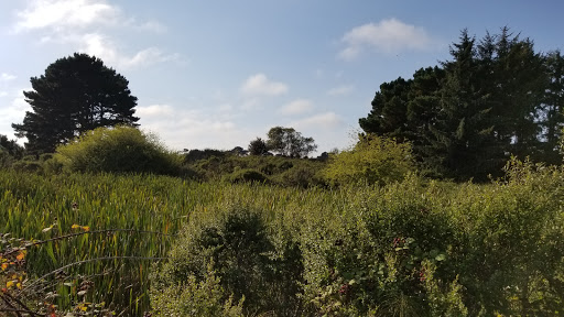 Bird Watching Area «Arcata Marsh Interpretive Center», reviews and photos, 569 S G St, Arcata, CA 95521, USA