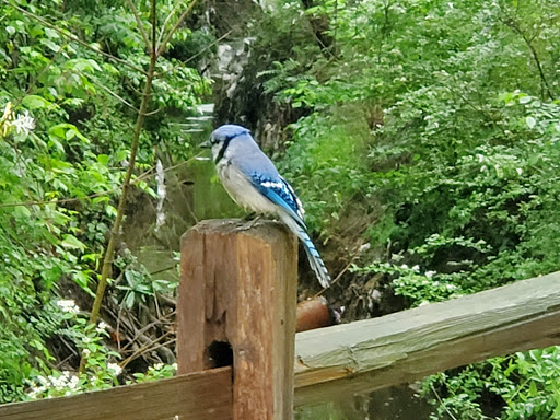 Park «J.A. Carr Park», reviews and photos, 508 Simmons Dr, Euless, TX 76040, USA