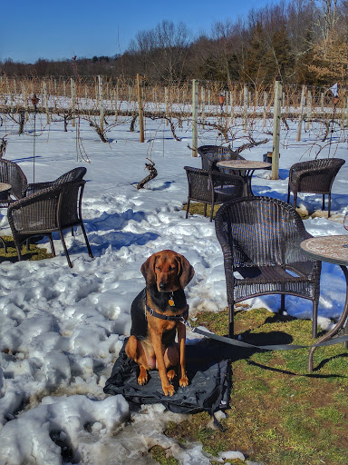 Winery «Paradise Hills Vineyard & Winery», reviews and photos, 15 Windswept Hill Rd, Wallingford, CT 06492, USA
