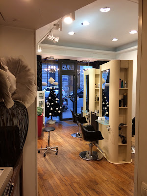 Roberto Luciano Coiffure Stylisme Création à Paris