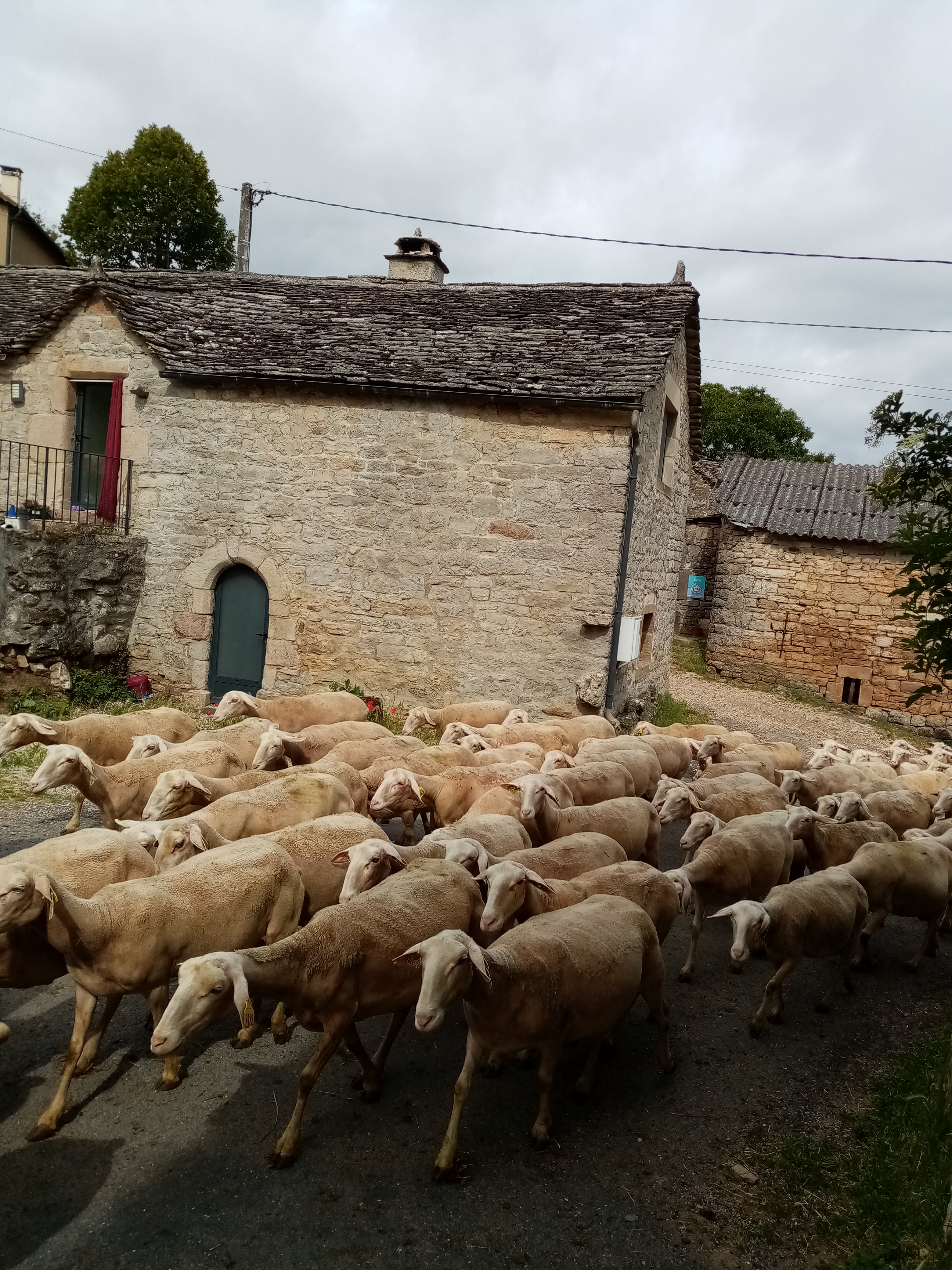 Photo n° 2 de l'avis de Josiane.e fait le 24/06/2020 à 16:07