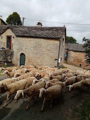 Gite severac à Sévérac-d'Aveyron