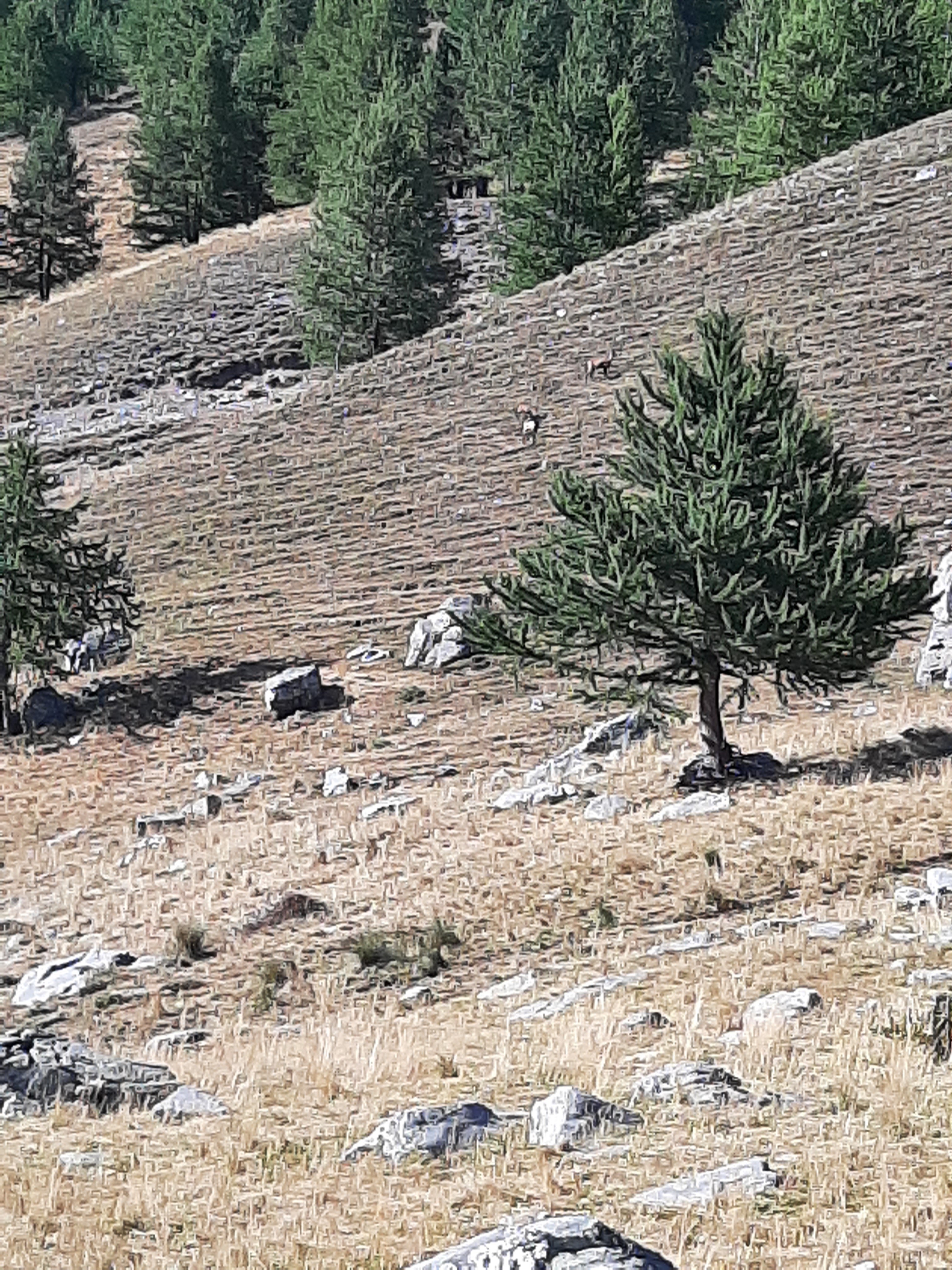 Photo n° 6 de l'avis de Patrick.A fait le 28/08/2023 à 18:52