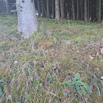 Photo n°1 de l'avis de Monika.e fait le 27/02/2024 à 10:12 sur le  Restaurant 1878 à Attendorn