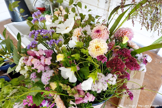 Hay Lane Flowers - Florist