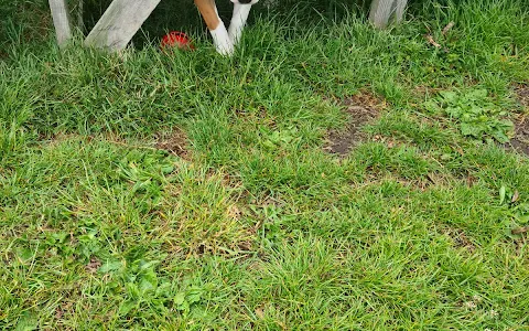 Mutts Meadow Secure Dog Walking Field image