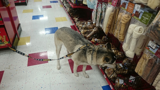 Pet Supply Store «Petco Animal Supplies», reviews and photos, 1415 E Warner Rd, Gilbert, AZ 85296, USA