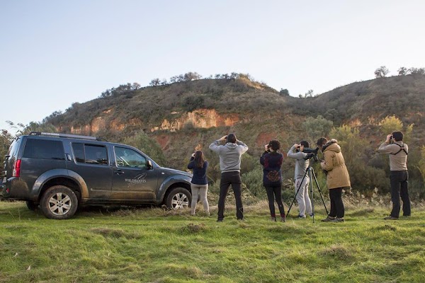Wildroots Extremadura - Guías de naturaleza
