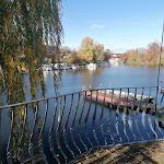 Photo n°1 de l'avis de Christin.i fait le 09/11/2023 à 15:02 sur le  Restaurant Weidelounge / Teeladen Brandenburg à Brandenburg