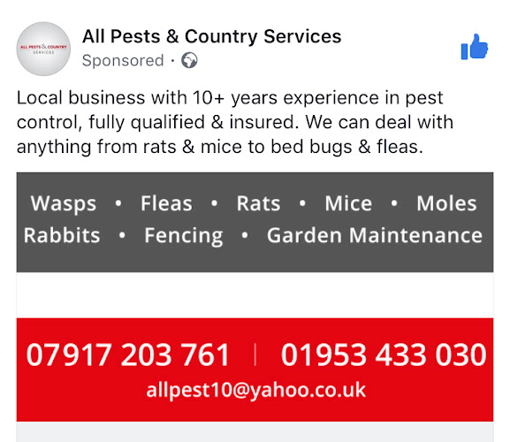 Reviews of All Pest and country services in Norwich - Pest control service