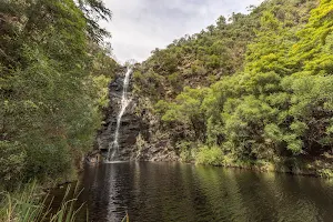 Waterfall Gully Adelaide Hills image