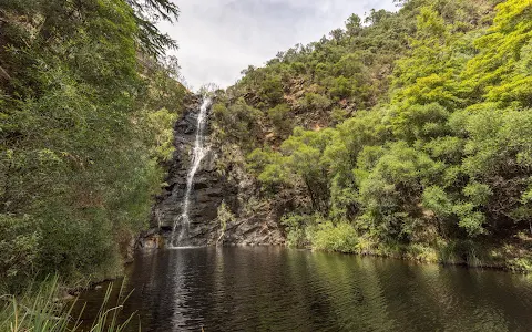 Waterfall Gully Adelaide Hills image