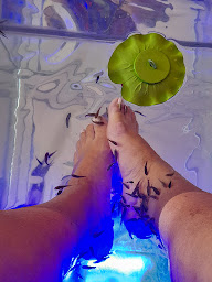 Photo n°9 de Fish Massage Marseillan-Plage à Marseillan ()