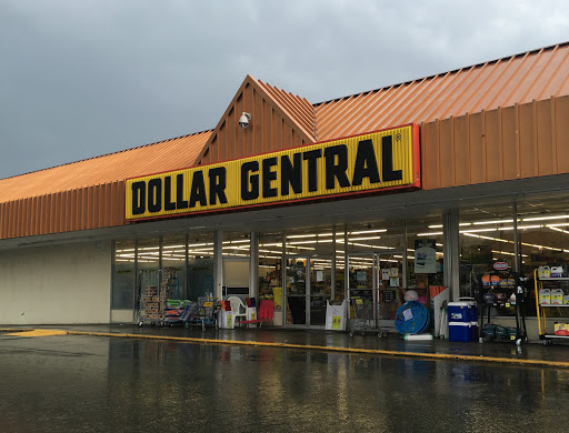 Dollar General, 19 Market Street, Palmyra, VA 22963, USA, 