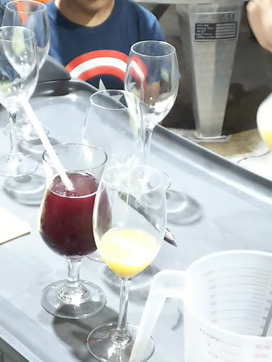 Vineyard «Stone Mountain Vineyards», reviews and photos, 1376 Wyatt Mountain Rd, Dyke, VA 22935, USA