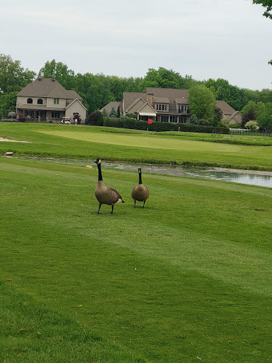 Public Golf Course «Mayfair Country Club», reviews and photos, 2229 Raber Rd, Uniontown, OH 44685, USA