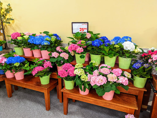 Supermarket «Giant Eagle Supermarket», reviews and photos, 111 W Madison St, Rochester, PA 15074, USA