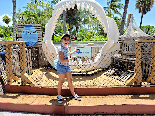 Aquarium «Miami Seaquarium», reviews and photos, 4400 Rickenbacker Causeway, Key Biscayne, FL 33149, USA