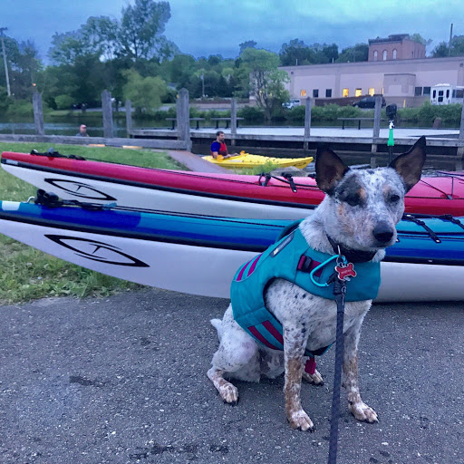 Evergreen Outfitters