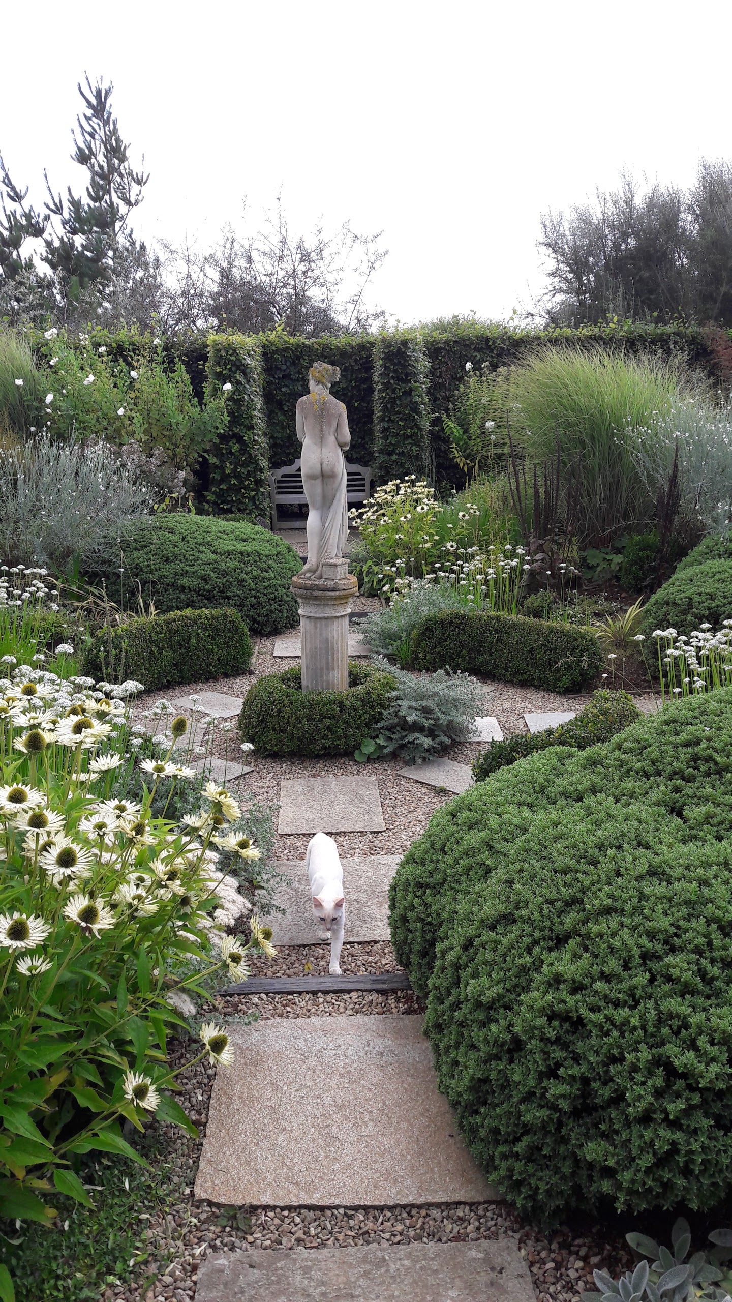Photo n° 3 de l'avis de Brojo. fait le 12/09/2017 à 10:08