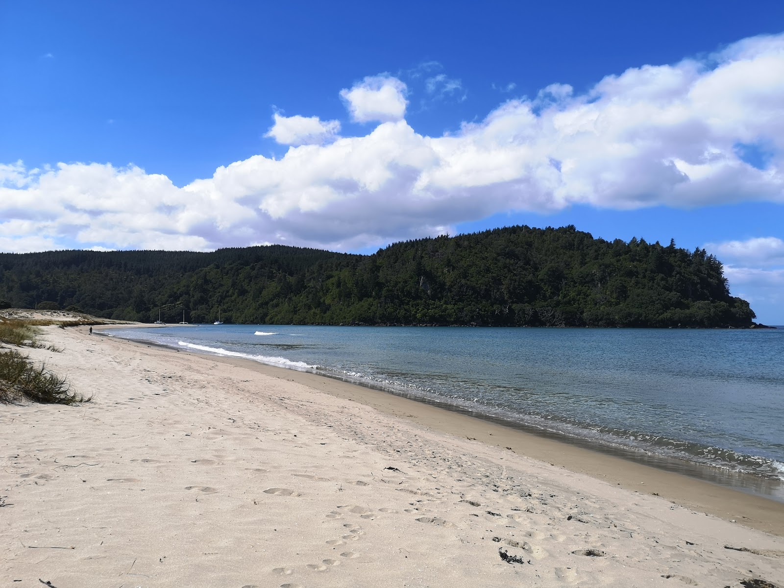 Photo of Whangamata Beach with partly clean level of cleanliness